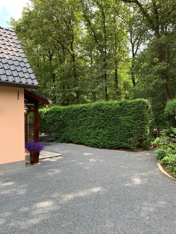 Romantisch Gastenverblijf 'Het Vogelhuisje' ลุนเทเรน ภายนอก รูปภาพ